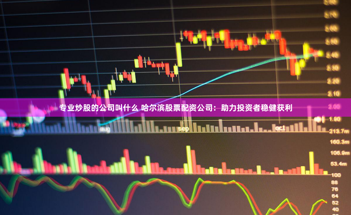 专业炒股的公司叫什么 哈尔滨股票配资公司：助力投资者稳健获利