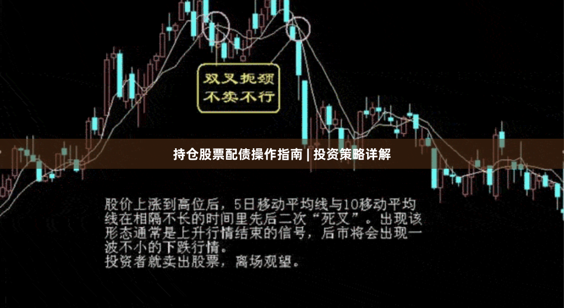 持仓股票配债操作指南 | 投资策略详解