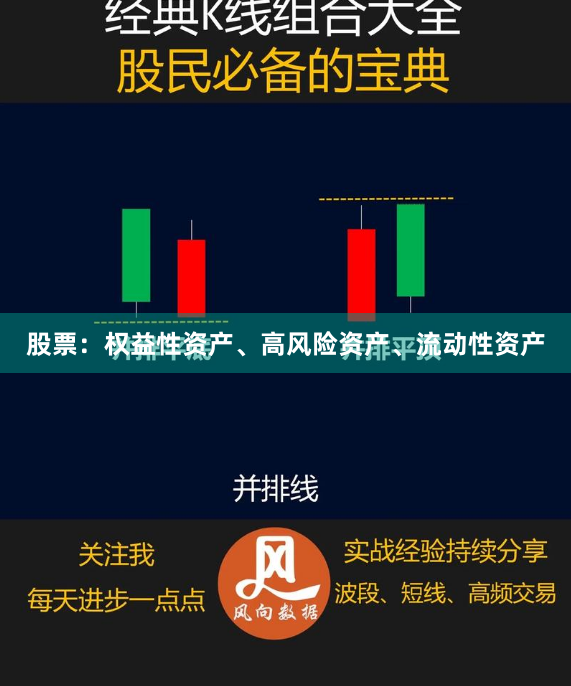 股票：权益性资产、高风险资产、流动性资产